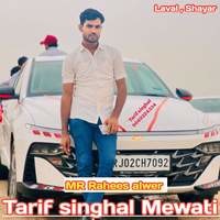 Tarif singhal Mewati