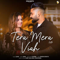 Tera Mera Viah