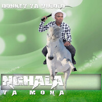 Donkey Ya Vulolo