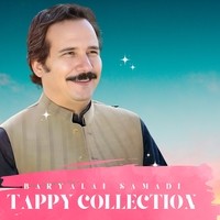 Tappy Collection