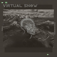 Virtual Snow
