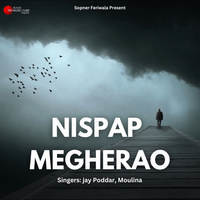 NISPAP MEGHERAO