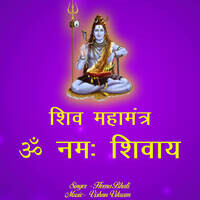 Shiv MahaMantra Om Namh Shivay