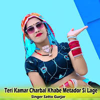 Teri Kamar Charbal Khabe Metador Si Lage