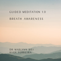 Guided Meditation 1.0 Breath Awareness