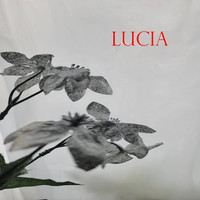 Lucia