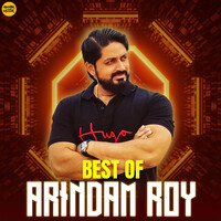 Best of Arindam Roy
