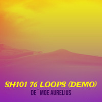 Sh101 76 Loops (Demo)