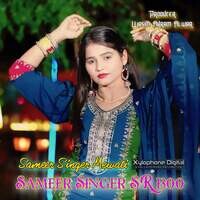 Sameer Singer SR 1300