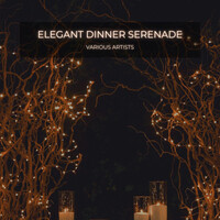 Elegant Dining Serenade