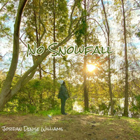 No Snowfall