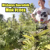 Мой Успех