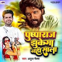 Pushparaj Jhukega Nahin Saala (Instrumental Version)
