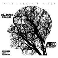 Wired Different