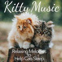 Kitty Music: Relaxing Melodies to Help Cats Sleep