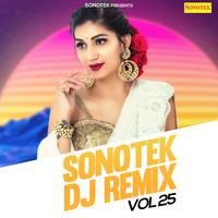 Sonotek DJ Remix Vol 25