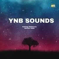 YNB Sounds