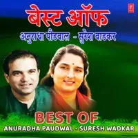Best Of Anuradha Paudwal - Suresh Wadkar