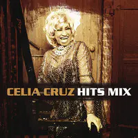 Celia Cruz Hits Mix Songs Download: Celia Cruz Hits Mix MP3 English Songs  Online Free on 