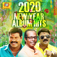 2020 New Year Album Hits