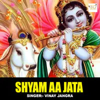 Shyam Aa Jata