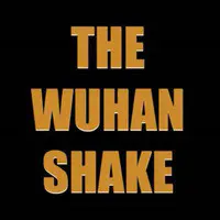 The Wuhan Shake