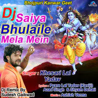 Dj Saiya Bhulaile Mela Mein