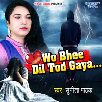 Who Bhee Dil Tod Gaya