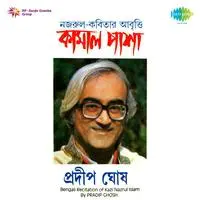 Poems Of Kazi Nazrul  By Pradip Ghosh