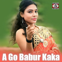 A Go Babur Kaka (Dj Remix)