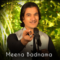 Meena Badnama