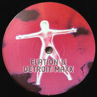 Elation to Detroit Maxx