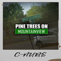 Pine Trees on Mountainview