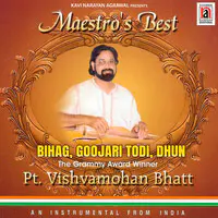 Maestro's Best Pt. Vishvamohan Bhatt