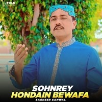 Sohnrey Hondain Bewafa