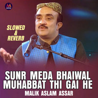 Sunr Meda Bhaiwal Muhabbat Thi Gai He ((Slowed & Reverb))