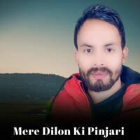 Mere Dilon Ki Pinjari