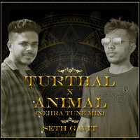 Turthal X Animal (Nehra Tune Mix)