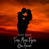 Tera Mera Pyar Hai Amar