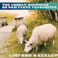 The Lonely Shepherd - 22 Pan Flute Favourites