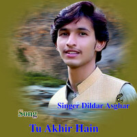 Tu Akhir Hain _ Singer Dildar Asghar _ Dhory Hi Dhory Last Sariki Dhory 2022(MP3_160K)