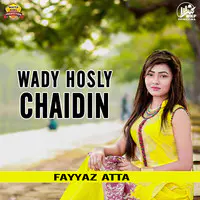 Wady Hosly Chaidin