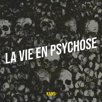 La vie en psychose