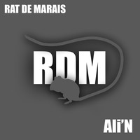 Rat de marais