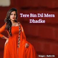 Tere Bin Dil Mera Dhadke