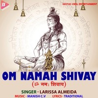 Om Namah Shivay