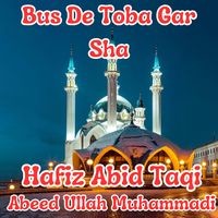 Bus De Toba Gar Sha