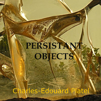 Persisting Objects