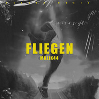 Fliegen