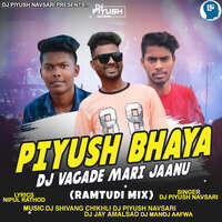 Piyush Bhaya Dj Vagade Mari Jaanu (Ramtudi Mix)